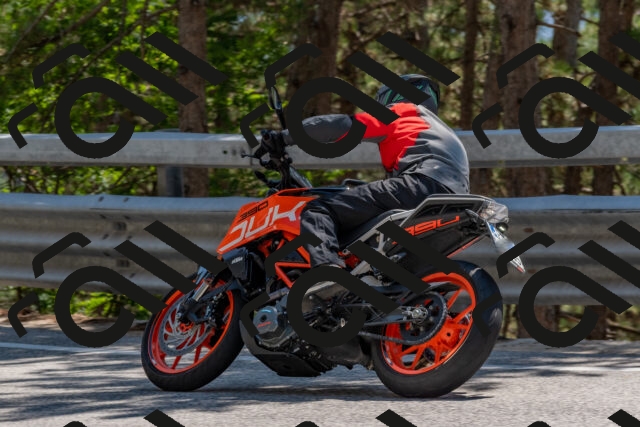 202508091424-DSC_3453_c4_