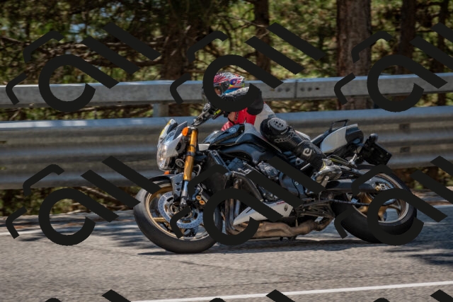 202508091424-DSC_3461_c4_