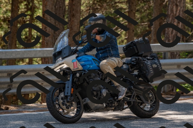 202508091425-DSC_3464_c4_