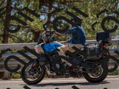 202508091425-DSC_3466_c4_