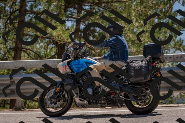 202508091425-DSC_3466_c4_