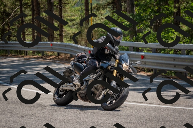 202508091425-DSC_3471_c4_