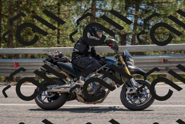 202508091425-DSC_3473_c4_