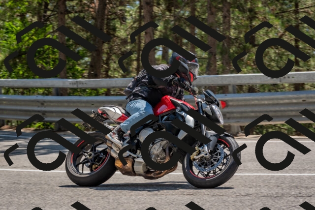 202508091425-DSC_3474_c4_