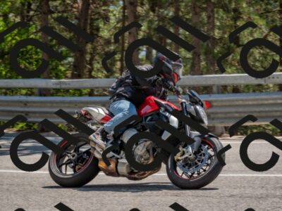 202508091425-DSC_3474_c4_