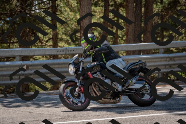 202508091425-DSC_3481_c4_