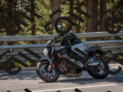 202508091425-DSC_3481_c4_