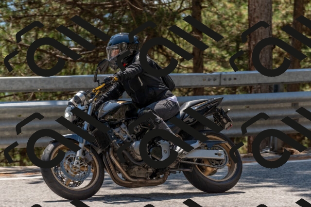 202508091426-DSC_3485_c4_