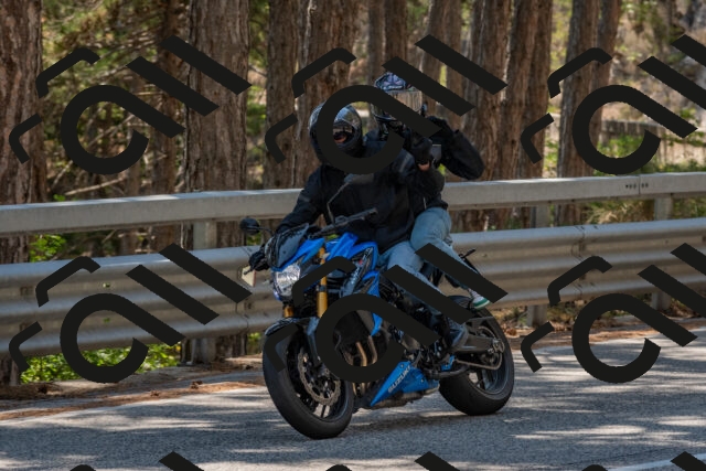 202508091426-DSC_3488_c4_