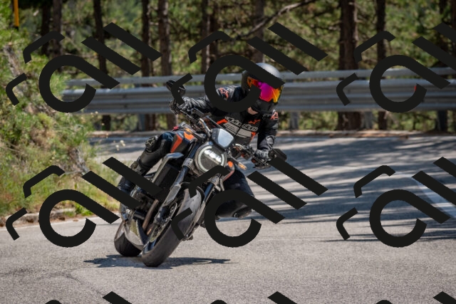 202508091427-DSC_3493_c4_