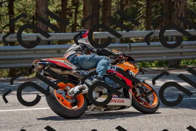 202508091428-DSC_3499_c4_