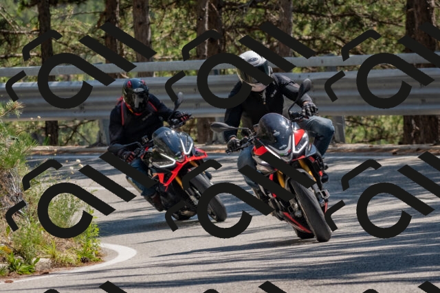 202508091428-DSC_3500_c4_