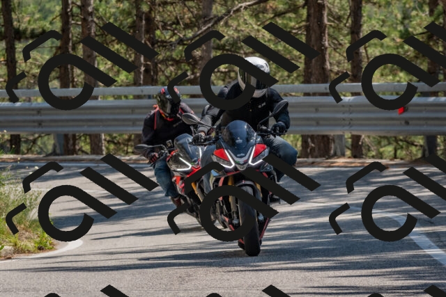 202508091428-DSC_3501_c4_