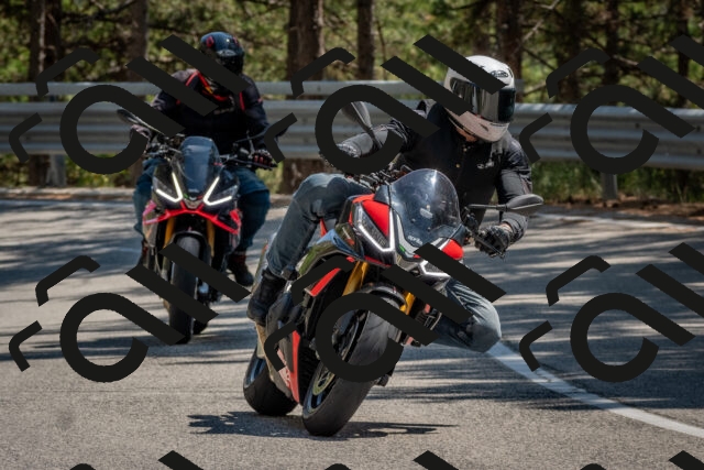 202508091428-DSC_3502_c4_