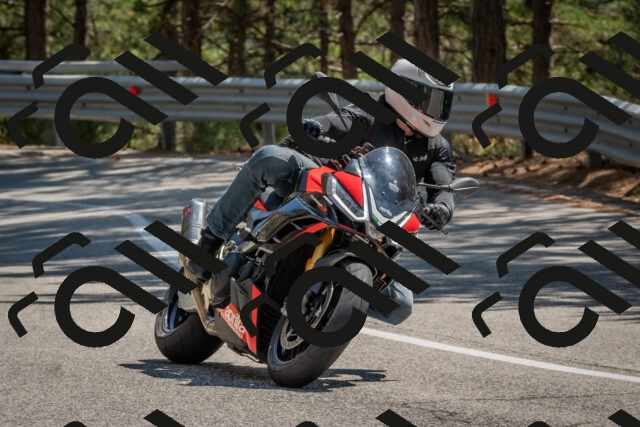 202508091428-DSC_3503_c4_