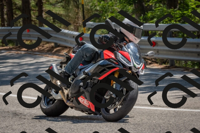 202508091428-DSC_3504_c4_