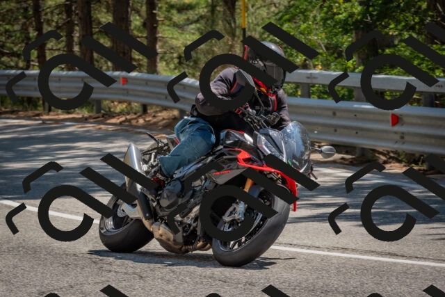 202508091428-DSC_3505_c4_