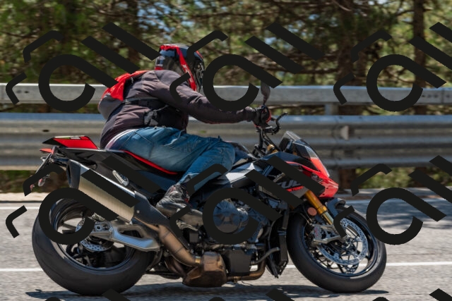 202508091428-DSC_3507_c4_