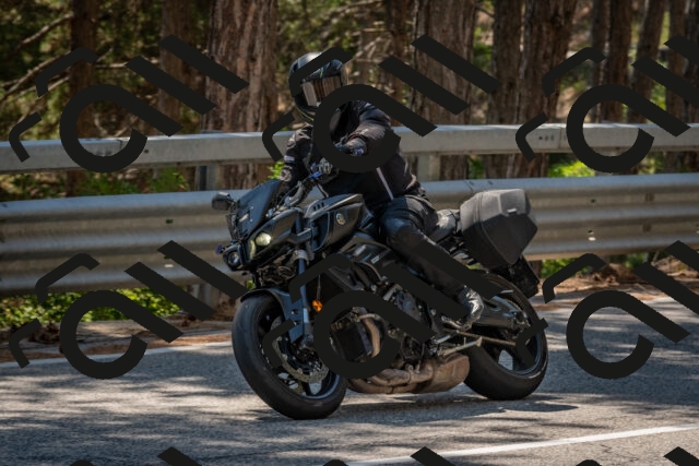 202508091431-DSC_3515_c4_