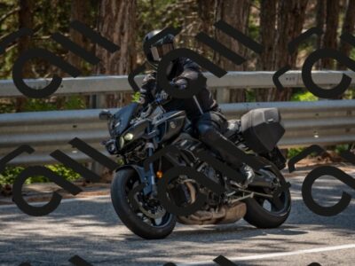 202508091431-DSC_3515_c4_