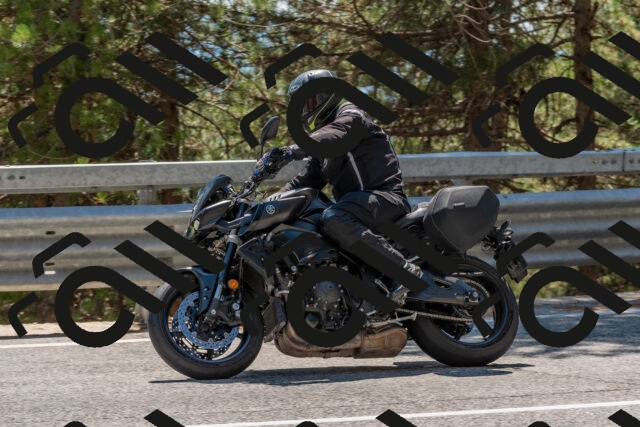 202508091431-DSC_3516_c4_