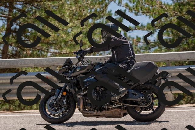 202508091431-DSC_3517_c4_