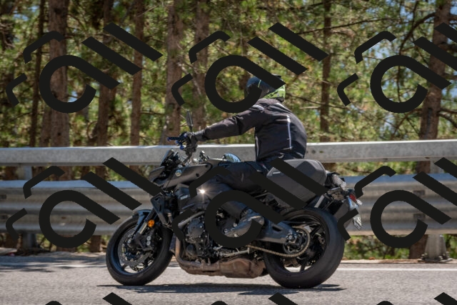 202508091431-DSC_3518_c4_