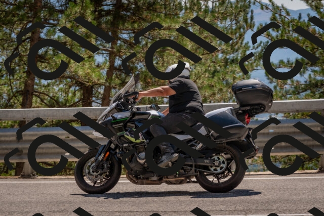 202508091432-DSC_3522_c4_