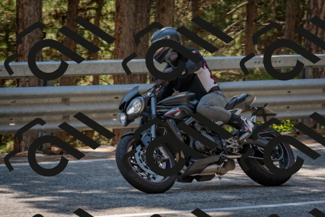 202508091433-DSC_3530_c4_