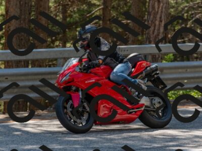 202508091434-DSC_3533_c4_