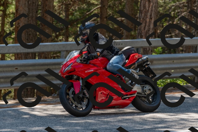 202508091434-DSC_3533_c4_