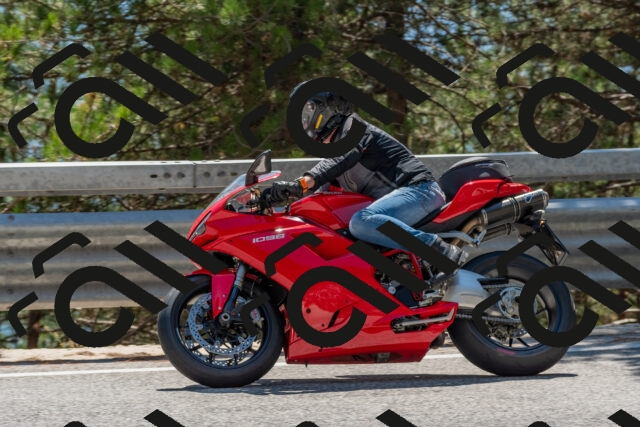 202508091434-DSC_3534_c4_