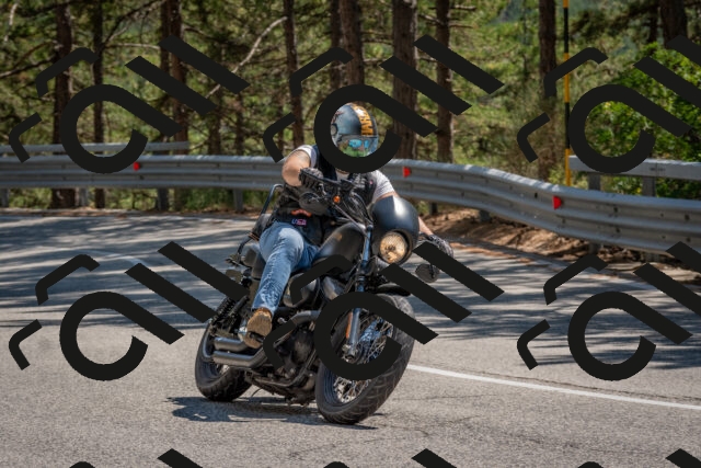 202508091434-DSC_3538_c4_