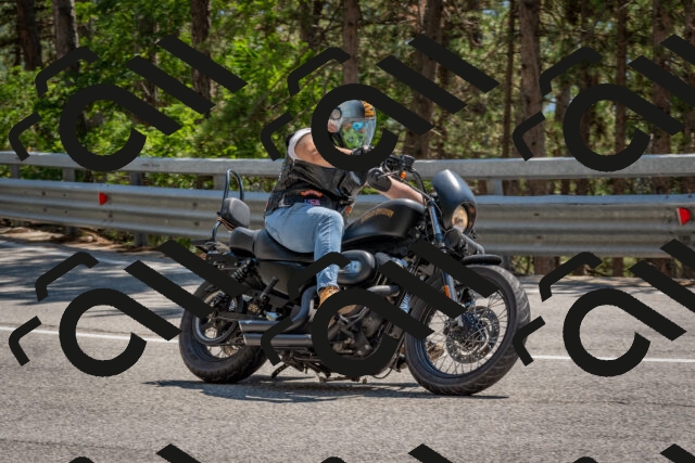 202508091434-DSC_3539_c4_