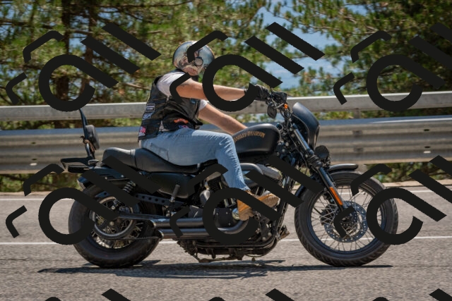 202508091434-DSC_3540_c4_