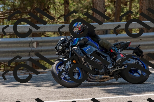 202508091434-DSC_3542_c4_