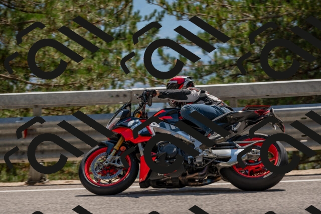 202508091435-DSC_3546_c4_