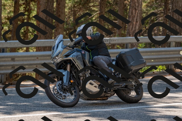 202508091435-DSC_3548_c4_