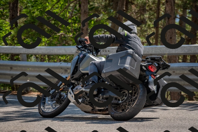 202508091435-DSC_3550_c4_