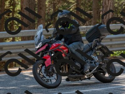 202508091435-DSC_3551_c4_