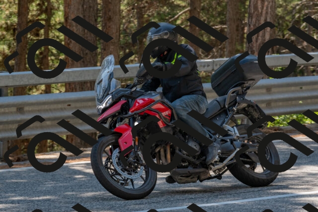 202508091435-DSC_3551_c4_