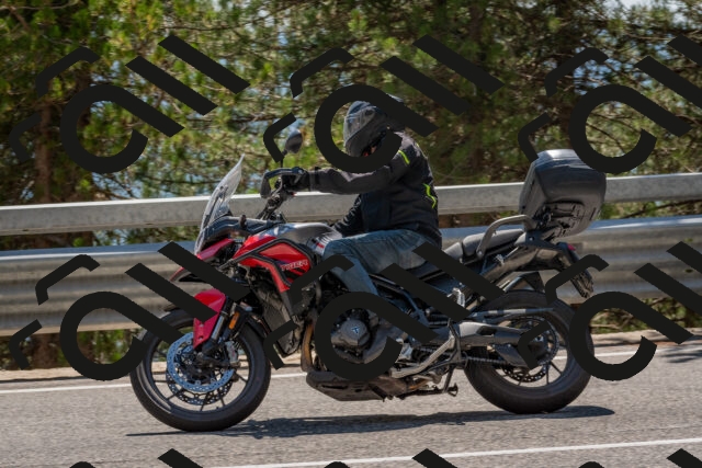 202508091435-DSC_3552_c4_