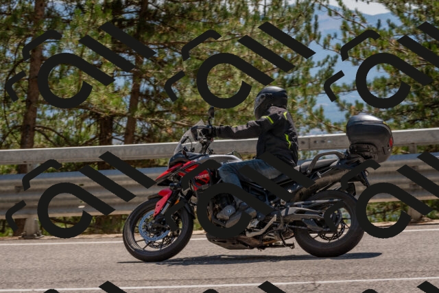 202508091435-DSC_3553_c4_