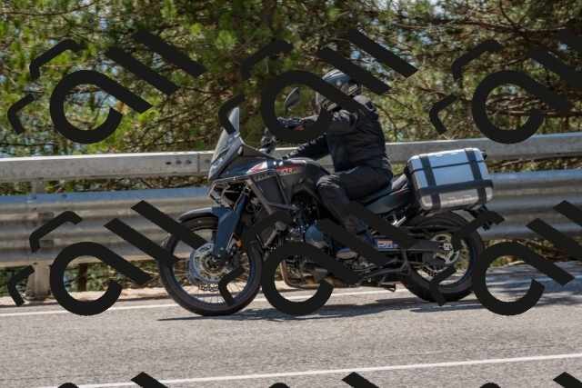 202508091435-DSC_3554_c4_