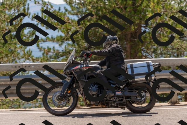 202508091435-DSC_3555_c4_