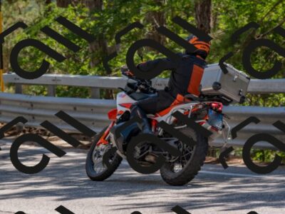 202508091435-DSC_3557_c4_