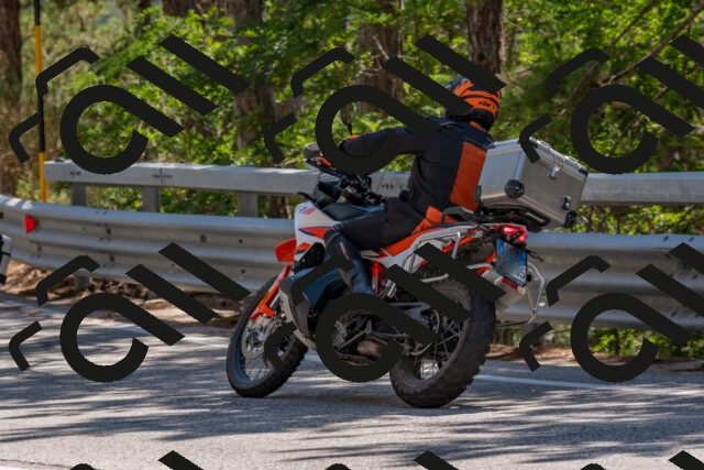 202508091435-DSC_3557_c4_