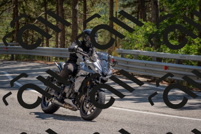 202508091436-DSC_3558_c4_