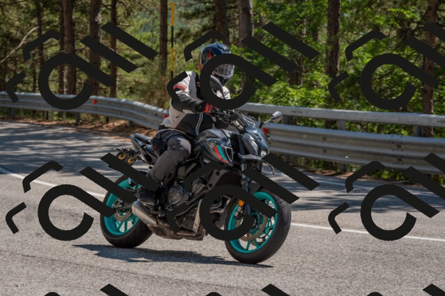 202508091436-DSC_3559_c4_