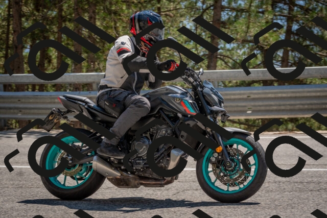 202508091436-DSC_3560_c4_